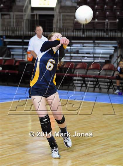Thumbnail 3 in Arizona Lutheran Academy vs. Glendale Prep Academy (AIA D5 Final) photogallery.