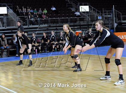 Thumbnail 2 in Arizona Lutheran Academy vs. Glendale Prep Academy (AIA D5 Final) photogallery.