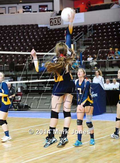 Thumbnail 3 in Arizona Lutheran Academy vs. Glendale Prep Academy (AIA D5 Final) photogallery.