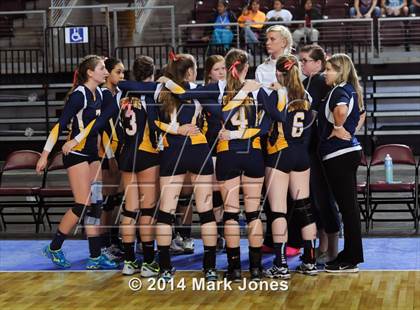 Thumbnail 2 in Arizona Lutheran Academy vs. Glendale Prep Academy (AIA D5 Final) photogallery.