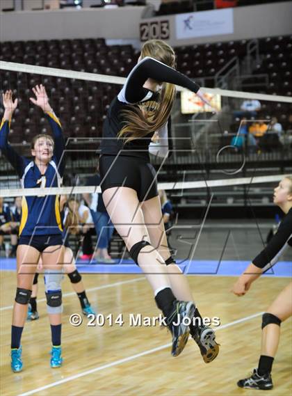 Thumbnail 2 in Arizona Lutheran Academy vs. Glendale Prep Academy (AIA D5 Final) photogallery.