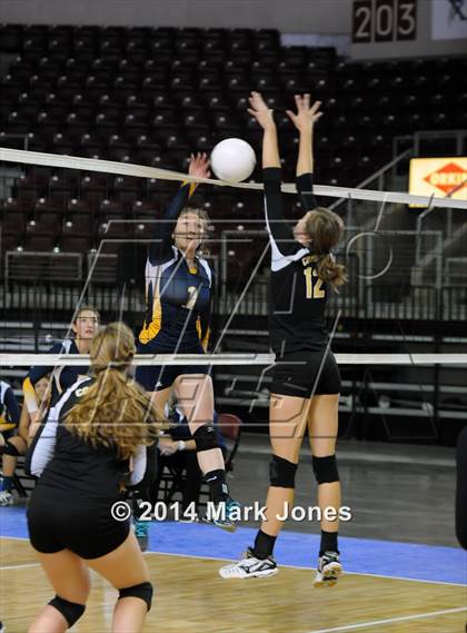 Thumbnail 1 in Arizona Lutheran Academy vs. Glendale Prep Academy (AIA D5 Final) photogallery.