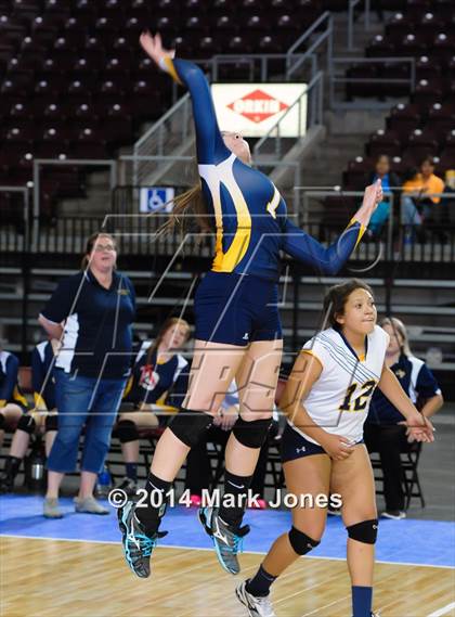 Thumbnail 2 in Arizona Lutheran Academy vs. Glendale Prep Academy (AIA D5 Final) photogallery.