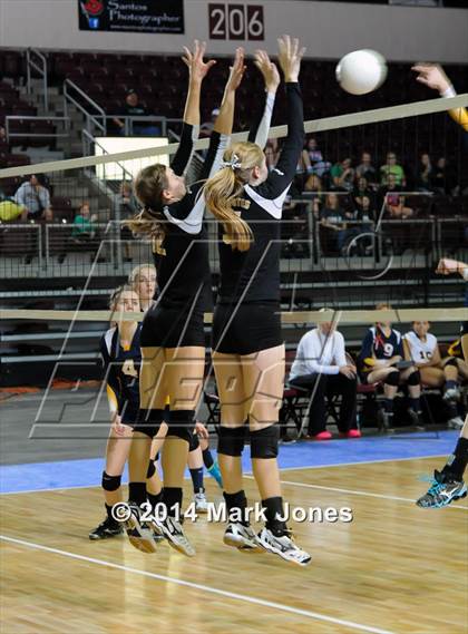Thumbnail 2 in Arizona Lutheran Academy vs. Glendale Prep Academy (AIA D5 Final) photogallery.