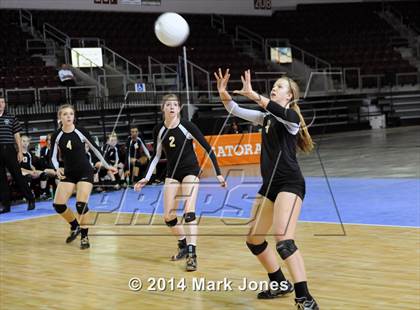 Thumbnail 2 in Arizona Lutheran Academy vs. Glendale Prep Academy (AIA D5 Final) photogallery.