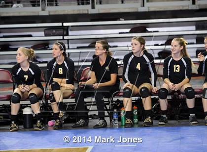 Thumbnail 1 in Arizona Lutheran Academy vs. Glendale Prep Academy (AIA D5 Final) photogallery.