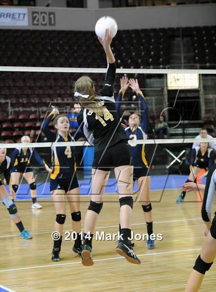 Thumbnail 3 in Arizona Lutheran Academy vs. Glendale Prep Academy (AIA D5 Final) photogallery.
