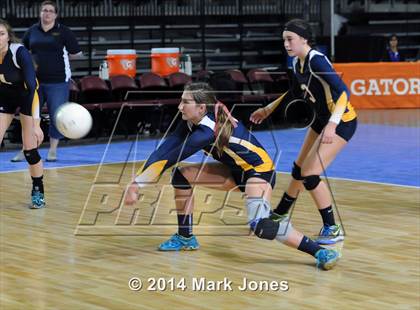 Thumbnail 1 in Arizona Lutheran Academy vs. Glendale Prep Academy (AIA D5 Final) photogallery.