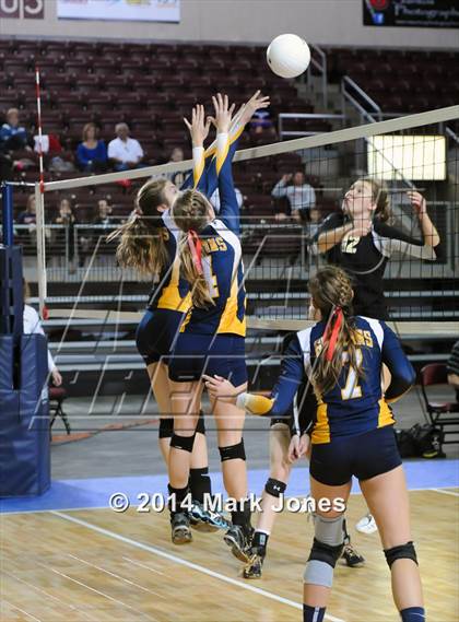 Thumbnail 1 in Arizona Lutheran Academy vs. Glendale Prep Academy (AIA D5 Final) photogallery.