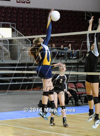 Thumbnail 3 in Arizona Lutheran Academy vs. Glendale Prep Academy (AIA D5 Final) photogallery.