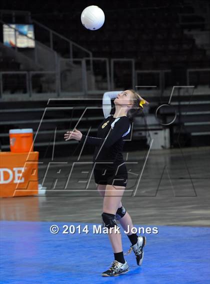 Thumbnail 3 in Arizona Lutheran Academy vs. Glendale Prep Academy (AIA D5 Final) photogallery.