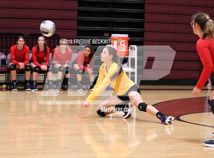Thumbnail 1 in S & S Consolidated @ Whitesboro photogallery.