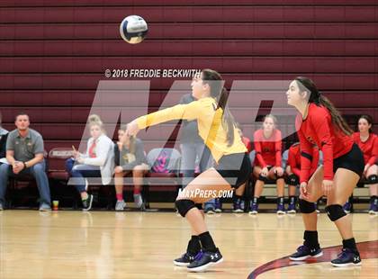Thumbnail 2 in S & S Consolidated @ Whitesboro photogallery.