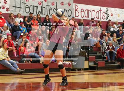 Thumbnail 1 in S & S Consolidated @ Whitesboro photogallery.
