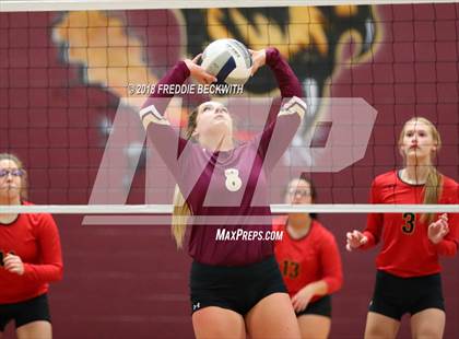 Thumbnail 1 in S & S Consolidated @ Whitesboro photogallery.