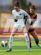 Photo from the gallery "Timnath @ Windsor"
