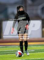 Photo from the gallery "Timnath @ Windsor"