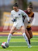 Photo from the gallery "Timnath @ Windsor"