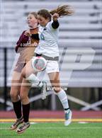 Photo from the gallery "Timnath @ Windsor"