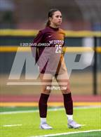 Photo from the gallery "Timnath @ Windsor"