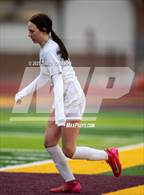 Photo from the gallery "Timnath @ Windsor"