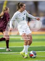 Photo from the gallery "Timnath @ Windsor"