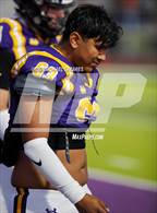 Photo from the gallery "Casteel @ Mesa"