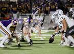 Photo from the gallery "Casteel @ Mesa"