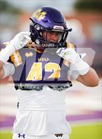 Photo from the gallery "Casteel @ Mesa"