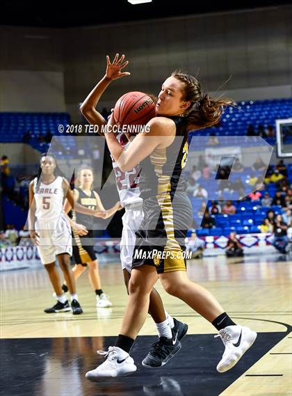 Thumbnail 2 in Earle vs. Quitman (AAA 2A Final) photogallery.