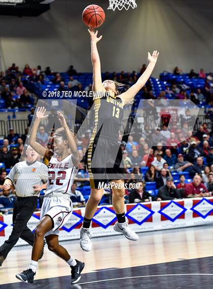 Thumbnail 3 in Earle vs. Quitman (AAA 2A Final) photogallery.