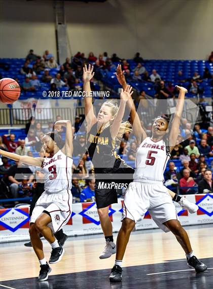 Thumbnail 3 in Earle vs. Quitman (AAA 2A Final) photogallery.