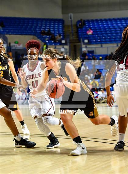 Thumbnail 1 in Earle vs. Quitman (AAA 2A Final) photogallery.