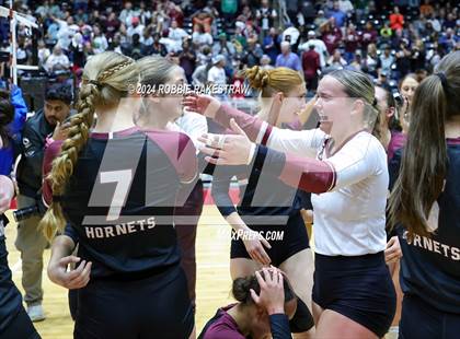 Thumbnail 3 in McKinney North vs. Flour Bluff (UIL 5A Volleyball Division I Final) photogallery.