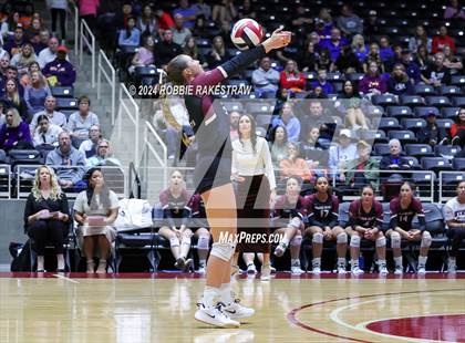 Thumbnail 3 in McKinney North vs. Flour Bluff (UIL 5A Volleyball Division I Final) photogallery.
