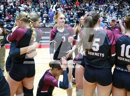 Thumbnail 2 in McKinney North vs. Flour Bluff (UIL 5A Volleyball Division I Final) photogallery.