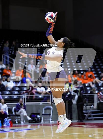 Thumbnail 3 in McKinney North vs. Flour Bluff (UIL 5A Volleyball Division I Final) photogallery.