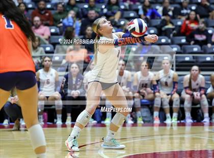 Thumbnail 3 in McKinney North vs. Flour Bluff (UIL 5A Volleyball Division I Final) photogallery.