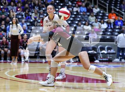 Thumbnail 3 in McKinney North vs. Flour Bluff (UIL 5A Volleyball Division I Final) photogallery.