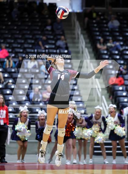 Thumbnail 3 in McKinney North vs. Flour Bluff (UIL 5A Volleyball Division I Final) photogallery.