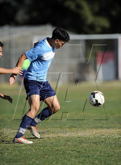Thumbnail 2 in Sylmar vs Arleta photogallery.