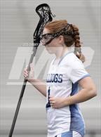 Photo from the gallery "Stone Bridge @ Battlefield"