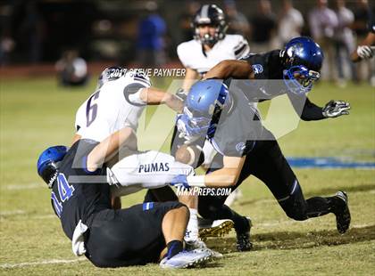 Thumbnail 1 in Perry @ Chandler photogallery.