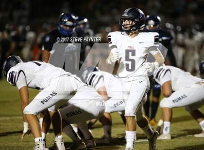 Thumbnail 3 in Perry @ Chandler photogallery.