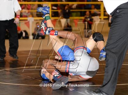 Thumbnail 1 in NIAA Championships photogallery.