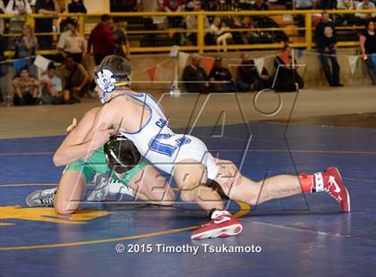 Thumbnail 3 in NIAA Championships photogallery.