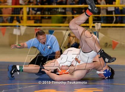 Thumbnail 3 in NIAA Championships photogallery.