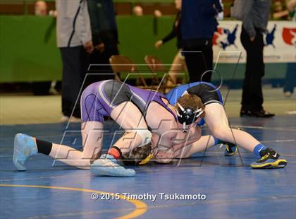 Thumbnail 1 in NIAA Championships photogallery.