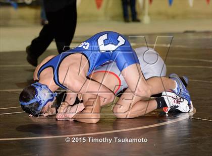 Thumbnail 2 in NIAA Championships photogallery.