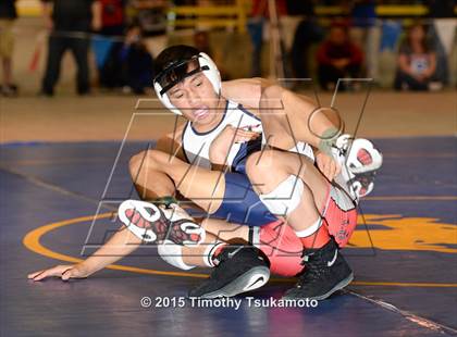 Thumbnail 2 in NIAA Championships photogallery.